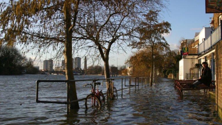 A New Way for Coastal Planners to Explore the Costs of Rising Seas
