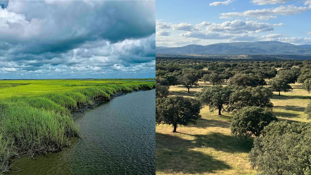 Understanding Flux, from the Wettest Ecosystems to the Driest