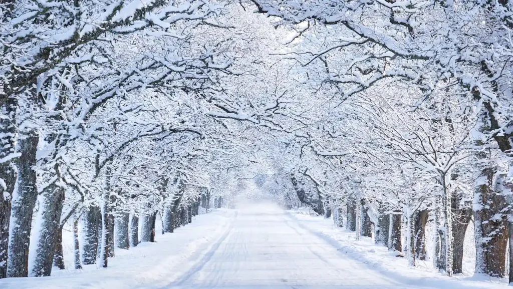 The danger of believing business myths