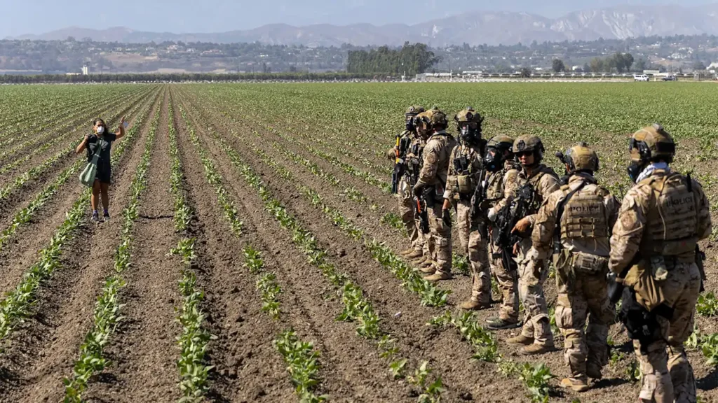 How the Trump administration’s ‘efficiency’ goals have exacerbated food waste