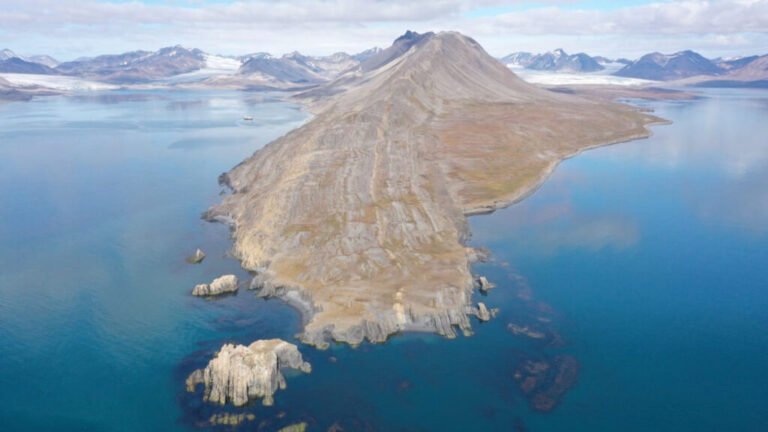 How Algae Helped Some Life Outlast Extinction