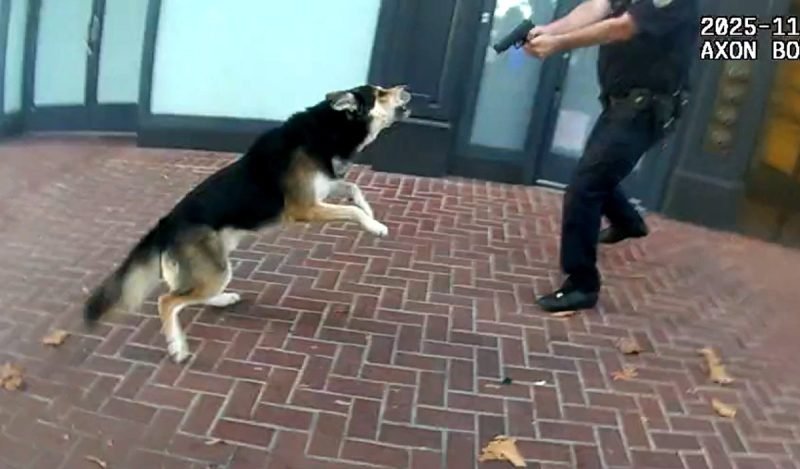 'I will blow your dog away,' San Francisco officer tells man before shooting