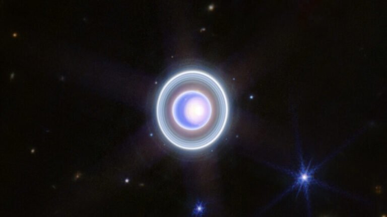 Uranus’s Small Moons Are Dark, Red, and Water-Poor
