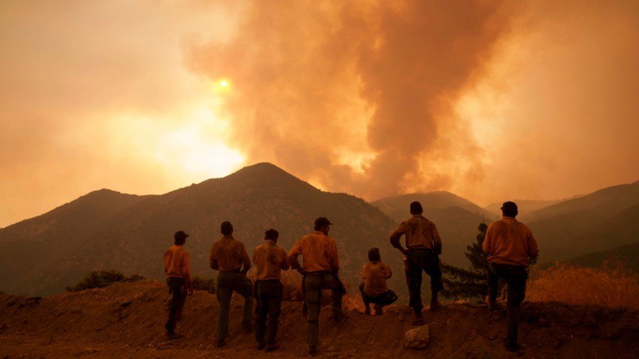 To see fewer devastating wildfires, Congress must fix our forests now