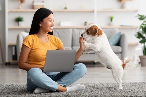The 5 Best Online Vet Services for Canadians in 2025 – Reviews & Top Picks