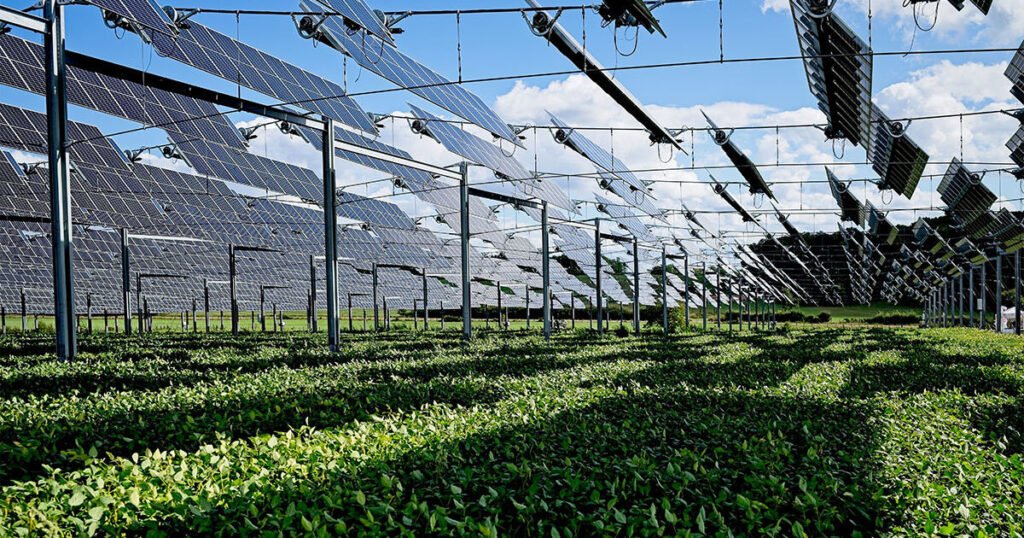 Agrivoltaics: A Pathway to Sustainable Development