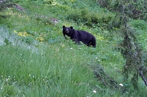 An Approved and Unashamed Worker – 2 Timothy 2:15