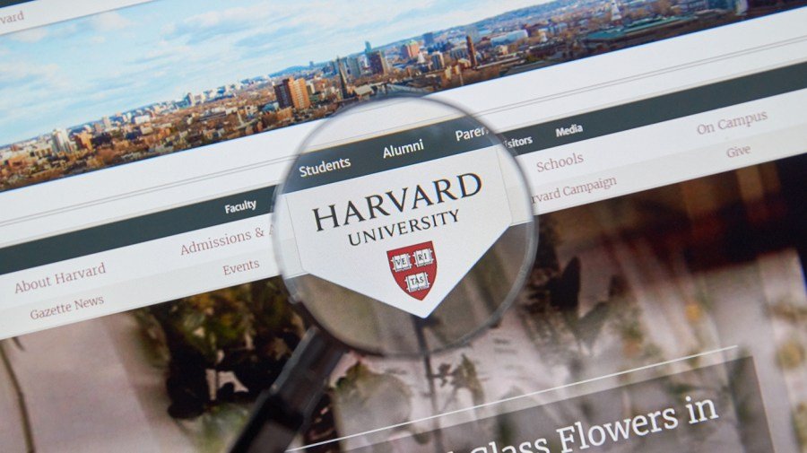 Harvard professor to self-deport after allegedly firing BB gun near synagogue
