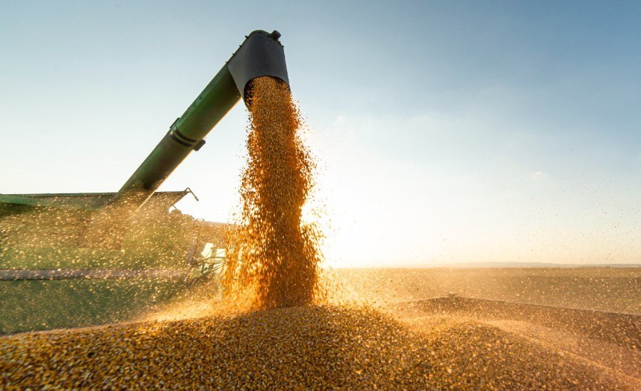 Soybean association president on Trump farm aid plan: 'A Band-Aid on an open wound'