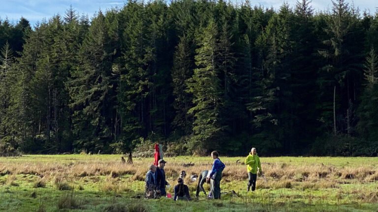 Blending Science and Indigenous Knowledge to Tell an Estuary’s Story