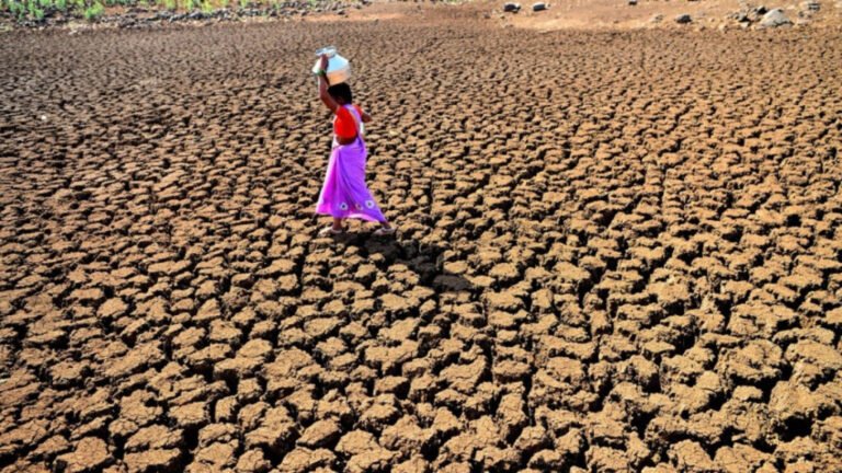 Democracy and Education Increase Women’s Belief in Climate Change