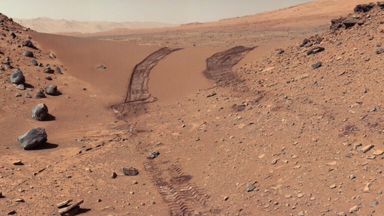 Fungi, Fertilizer, and Feces Could Help Astronauts Grow Plants on the Moon