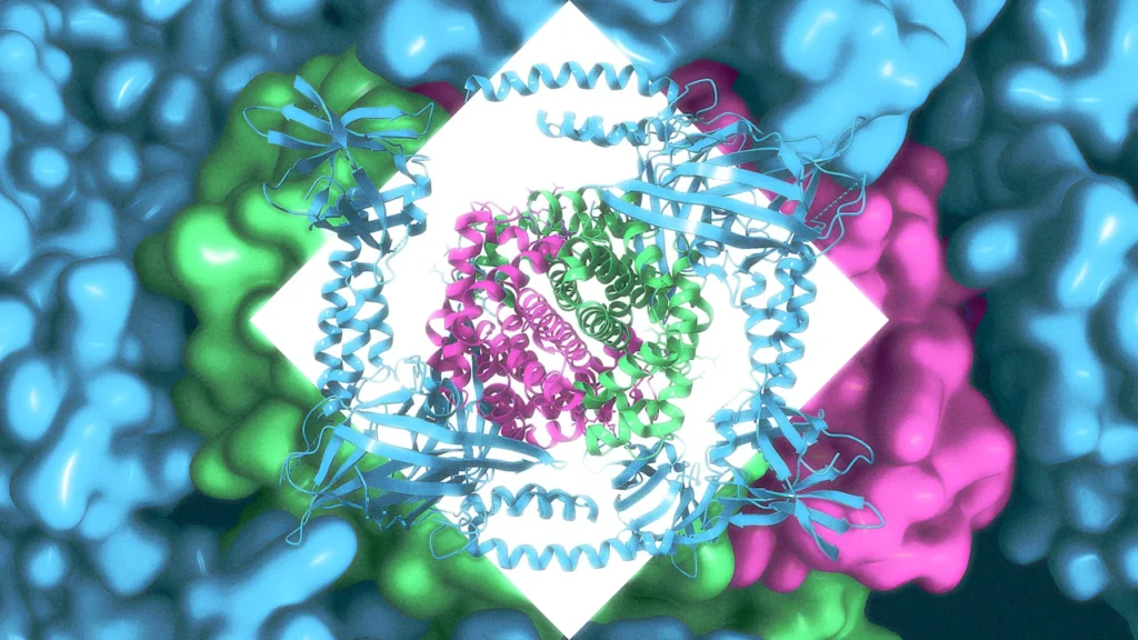 MIT drug hunters are using AI to design completely new antibiotics