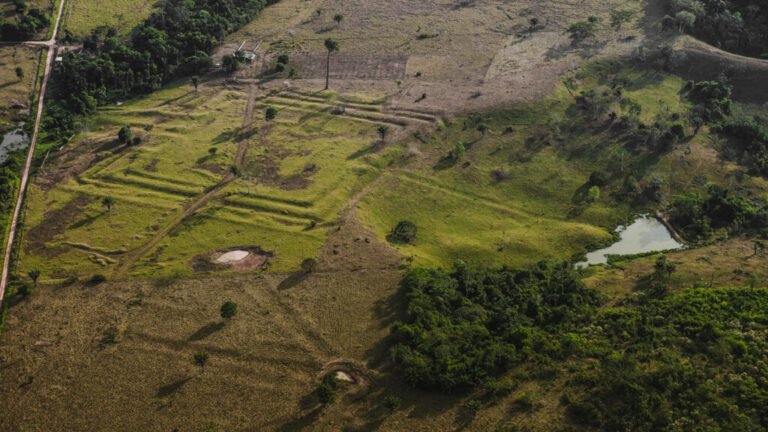 How Ancient Indigenous Societies Made Today’s Amazon More Resilient