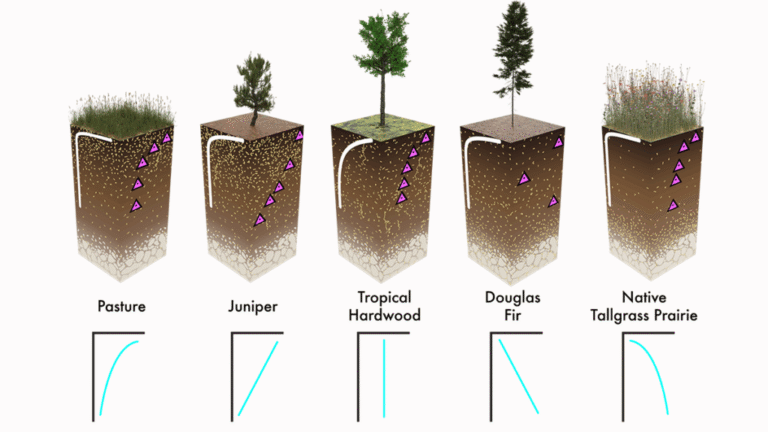 Rethinking How to Measure Roots