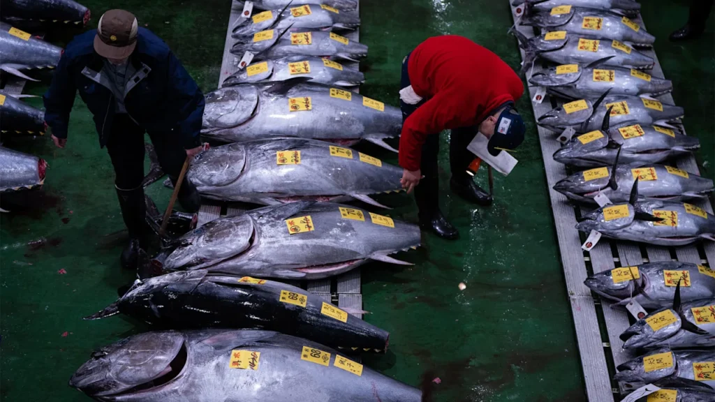 Record-breaking tuna sells for $3.2 million at a Tokyo auction