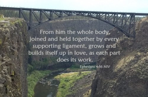 Church Growth – Ephesians 4:16