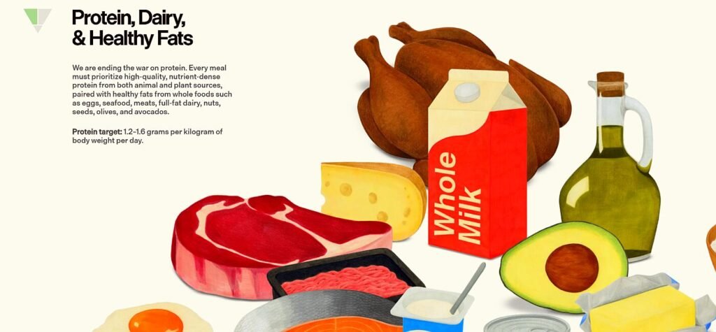 New US dietary guidelines elevate meat and full-fat dairy, ignite protein debate: ‘Most Americans already eat plenty’