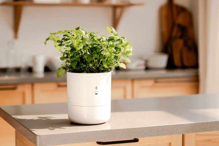 LeafyPod Is a Self-Watering Smart Planter That Saves Your Sanity