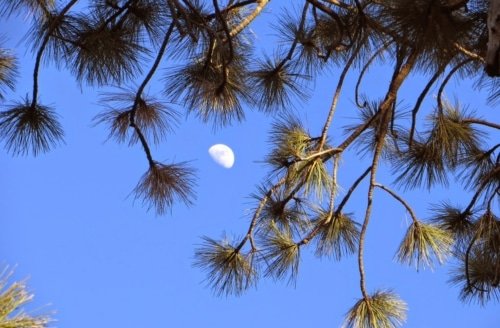 By Revelation from Jesus Christ – Galatians 1:11-12