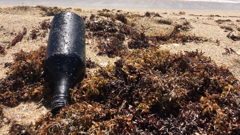 Plastic Debris Helps Oil Residues Reach Farther Across the Ocean