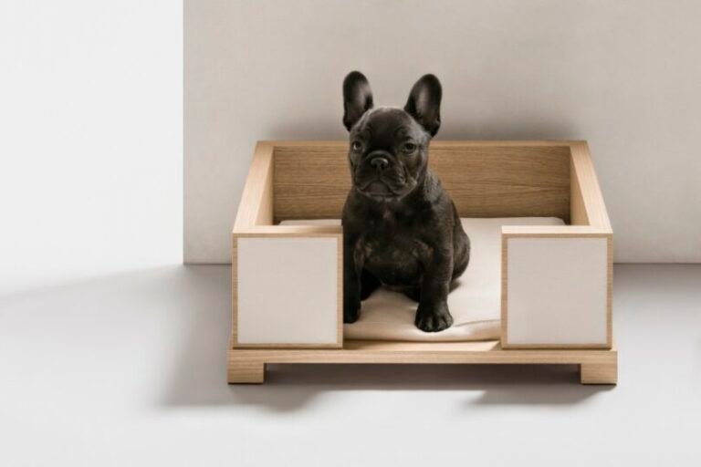 Giobagnara Gives Pets a Luxurious Home Upgrade in Leather