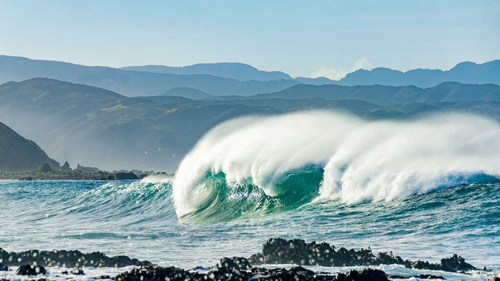 Our Ocean’s “Natural Antacids” Act Faster Than We Thought