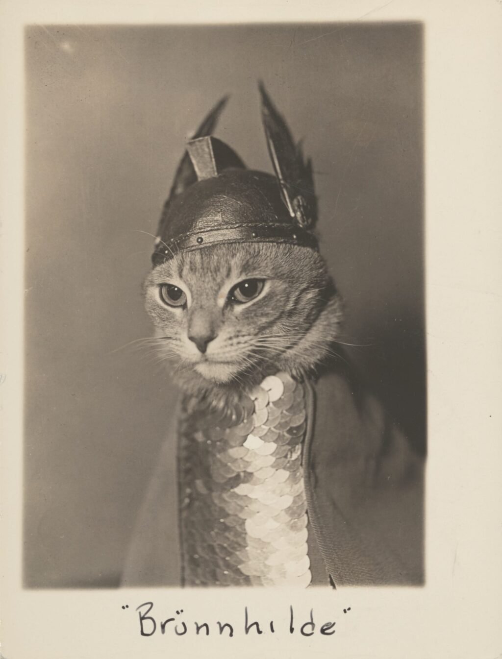 ‘Cats’ Is a Purr-fect Celebration of Felines in Art Throughout the Centuries