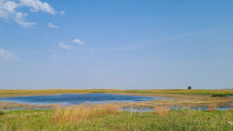 After Sackett, a Wisconsin-Sized Wetland Area Is Vulnerable 