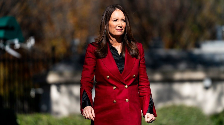 Democrats mock Rollins over chicken, broccoli, tortilla comment 