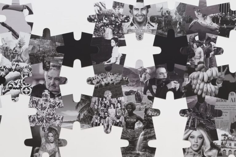 Regina Silveira Pieces Together an Evolving Narrative of Latin America