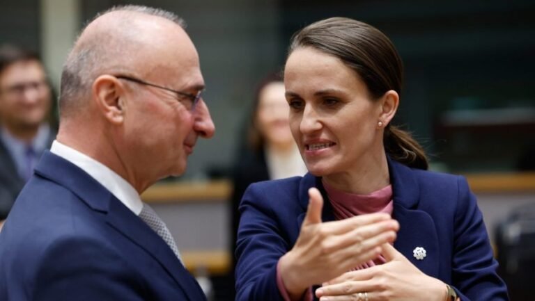 Europe debates future ties with US: decouple or double down?