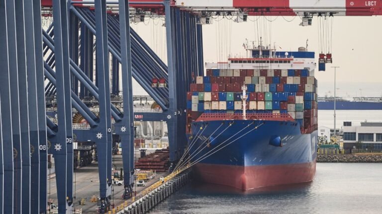 Republicans breathe sigh of relief as Supreme Court axes Trump tariffs