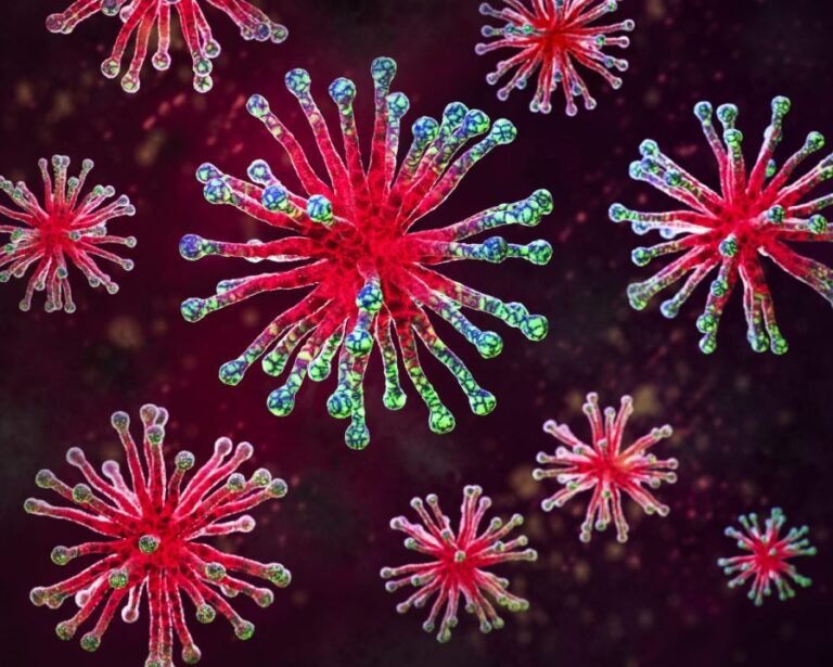 What is influenza B, the type of flu now on the rise?