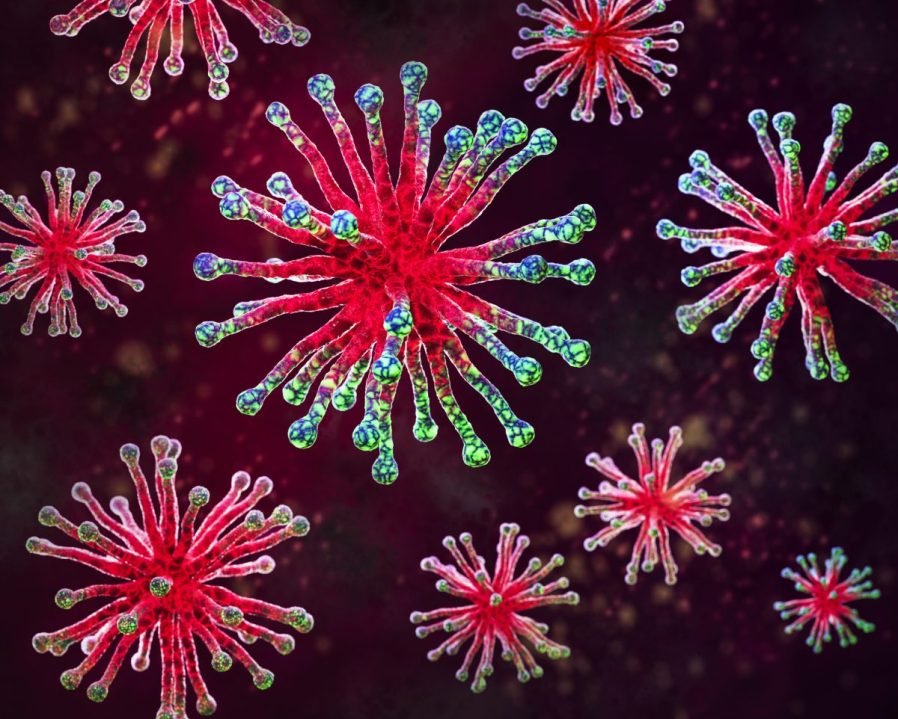 What is influenza B, the type of flu now on the rise?