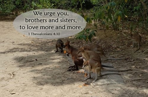 Never Stop Growing in Love – 1 Thessalonians 4:10