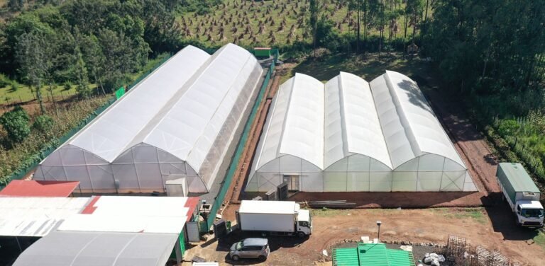 As climate shocks hit Kenya, GrowPact bets on seedlings, greenhouses, and tech