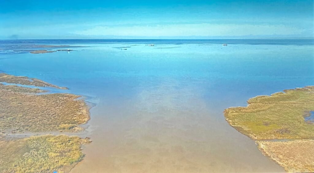 Deborah Jack’s Immersive Elegy for Water