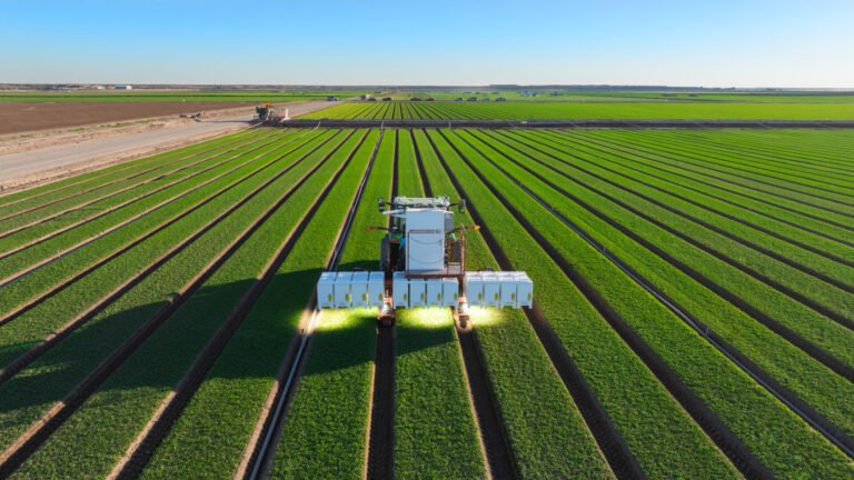 Frontier AI heads to the farm with Carbon Robotics’ Large Plant Model
