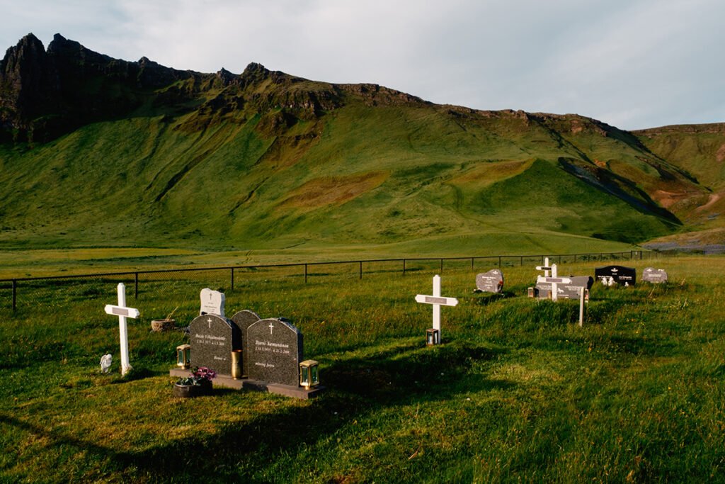 “Lupine” by Photographer Daniel Dorsa