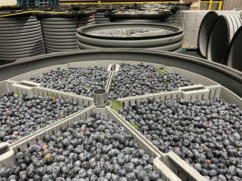 Ripelocker bets on container-scale vacuum storage to unlock global produce markets