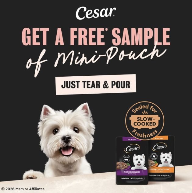 Free Sample of Cesar Dog Food!