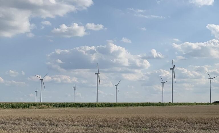 AgriFood Signals: Syngenta inks clean energy deal, SemCap closes $125m food fund, McDonald’s nixes veggie items