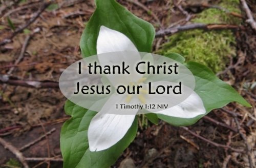 I Thank Christ Jesus My Lord – 1 Timothy 1:12-14