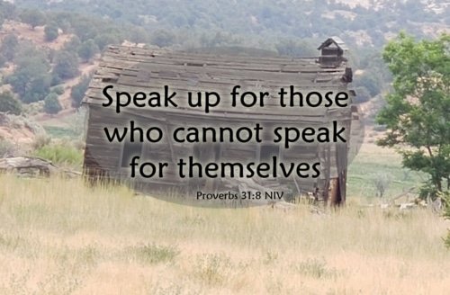 Speak Up for the Voiceless – Proverbs 31:8-9