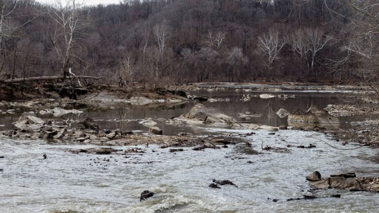What to know about the disastrous Potomac sewage spill