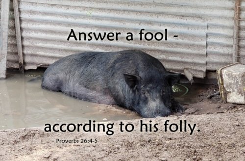 Answering a Fool According to His Folly – Proverbs 26:4-5