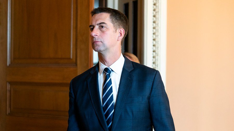 Cotton says whistleblower complaint against Gabbard 'not credible'
