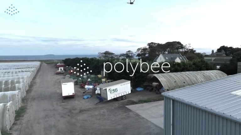 Polybee raises $4.3m to automate yield forecasting and pollination with ‘physical AI agents’