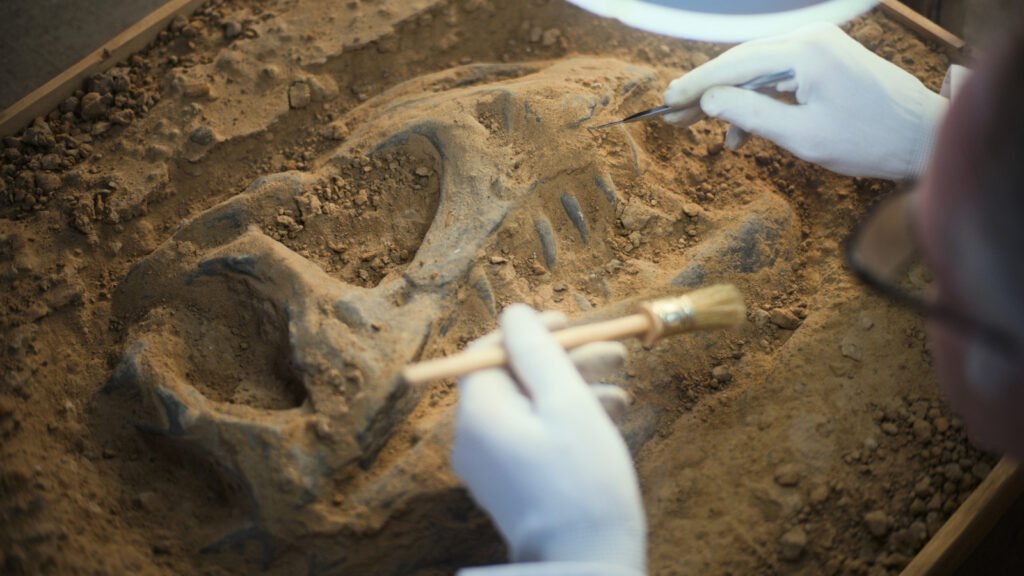 No, Motor Oil Doesn't Come From Dinosaurs